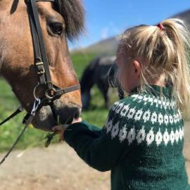 Syðra-Skörðugil Guesthouse、ヴァーマリッドのホテル