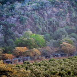 Lions Rock Rapids - Luxury Tented Camp, hotel a Hazyview