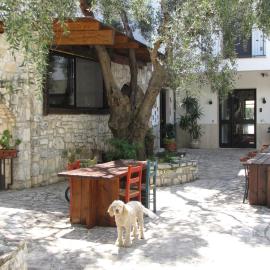 Mafrolla Carlo, hotel in Vieste