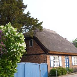 Alte Kate mit Bau-& Zirkuswagen im Gartenidyll in Putbus OT Kasnevitz