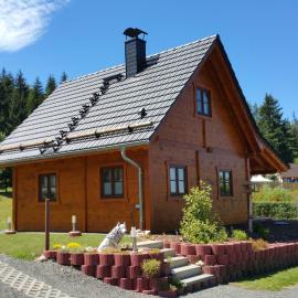 Ferienhaus Wolfs-Revier, Hotel in Drognitz
