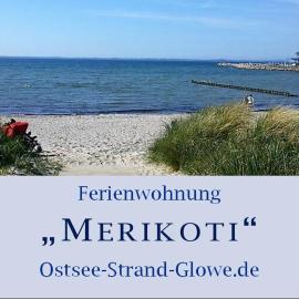 Merikoti