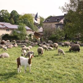 Urlaub im Kunstatelier