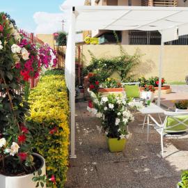 Residence Hotel Vittoria, hotel sa Tirrenia
