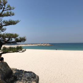 長楽園, hotel in Shirahama
