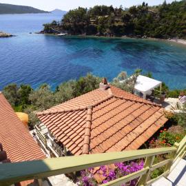Odyssia near the Seaside