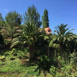 Casa d'Olívia, hotel in Porto da Cruz