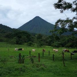 Tío Felix Eco Lodge