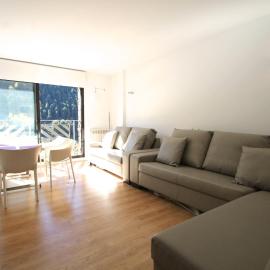 Genciana Estudio en el Tarter, zona Grandvalira