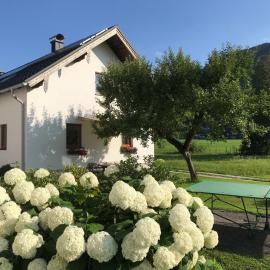 Ferienhaus Franz Eisl Radau 39, hotel in St. Wolfgang