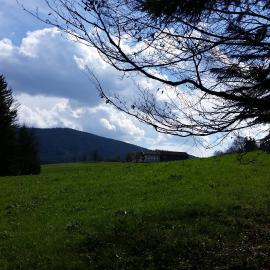 Biohof Unterstadl