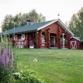 Leenan tupa – hotel w mieście Sonka