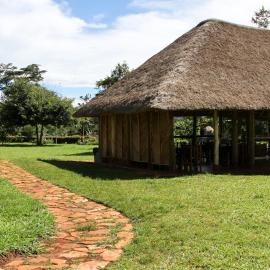 Bushbaby Lodge, Hotel in Mukono