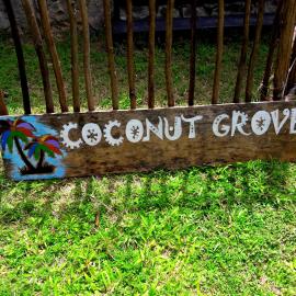 Coconut Grove - Midigama