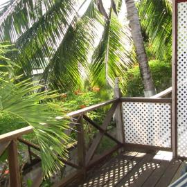 Dolphin Inn Guesthouse & Apartments, hotelli kohteessa Christ Church