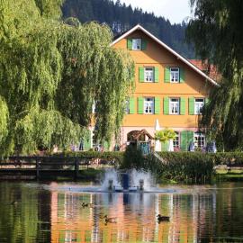 Hotel Zur alten Mühle, hotel v destinácii Neuenbürg