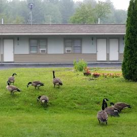 The becket Motel, hotel di Becket Center