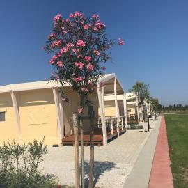 Vento etrusco, hotel in Riotorto