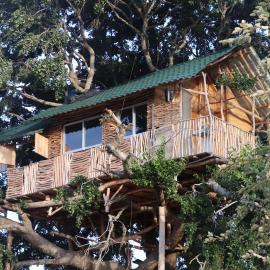 Yala Dream Park