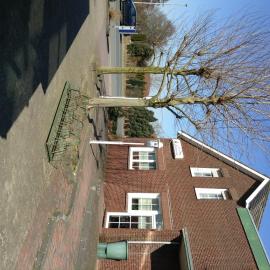 Hotel Rotbuche, hotel Westoverledingenben