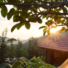 Bao Sheng Durian Farm, hotell i Balik Pulau