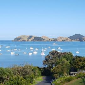 Bird Haven, hotel in Coromandel Town