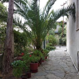 Velikis Apartments, מלון בטורוני