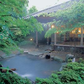 Shaga-no-Sato Yumeya, Hotel in Niigata