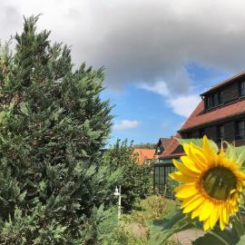 Hotel-Pension Seeadler – hotel w Prerowie