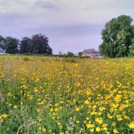 Castletownmoor Clinic & Permaculture Farm, hôtel à Kells