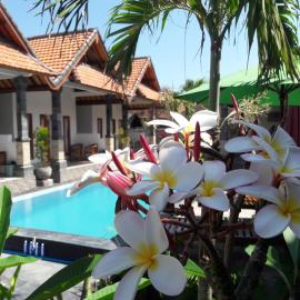Miko Bungalow Nusa Penida