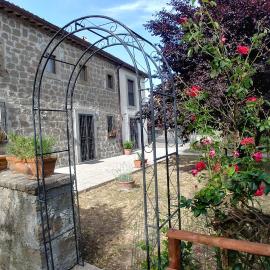B&B Paternocchio, hotel in Montefiascone