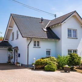 Das blaue Haus