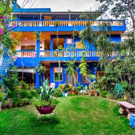 The Coral Tree Boutique Homestay, hotel i Agra
