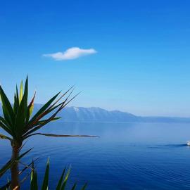 Apartment Franic, Hotel in Sućuraj