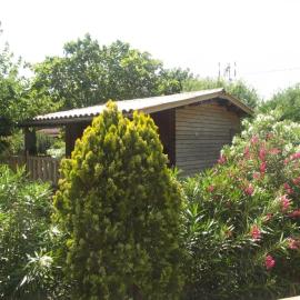 Chalets 1 MESANGE BLEUE Roquebrune Sur Argens
