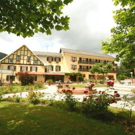 Parc Hôtel, Hotel in Wangenbourg