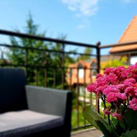 Apartament Lawenda
