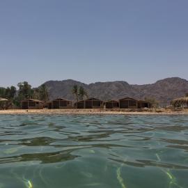 Sina Star Camp