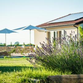 Agriturismo Podere Zampiera Vecchia - vicino Imola e Autodromo, ξενοδοχείο στην Ίμολα
