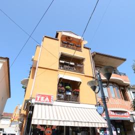 Vila Tea Petrusevski