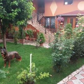 Olimpia Apartments, hotel in Alba Iulia