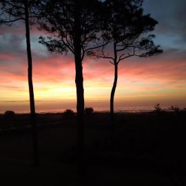 Million Dollar Oceanfront View, hotel in Hilton Head Island