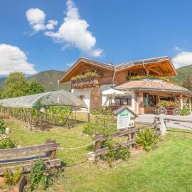 CROSINA HOLIDAY - B&B dalla Fattoria della Patty – hotel w mieście Ledro
