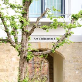 Alte Stadtmauer - Apartment, ξενοδοχείο σε Sinsheim