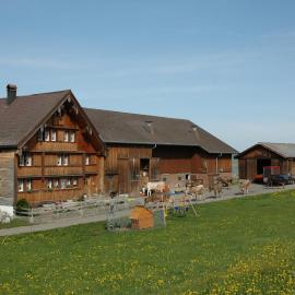 Ferienwohnung Brülisauer, hotel in Brülisau