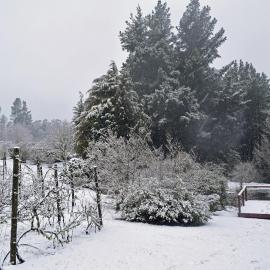 Windrush on Hogsback, viešbutis mieste Hogsbekas