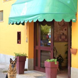 Hotel Trasimeno, ξενοδοχείο σε Passignano sul Trasimeno