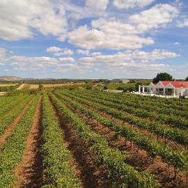 1837 Barossa Luxury Vineyard Cottages, готель у місті Lyndoch