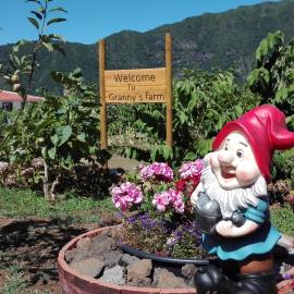 Granny's farm, hotelli kohteessa São Vicente